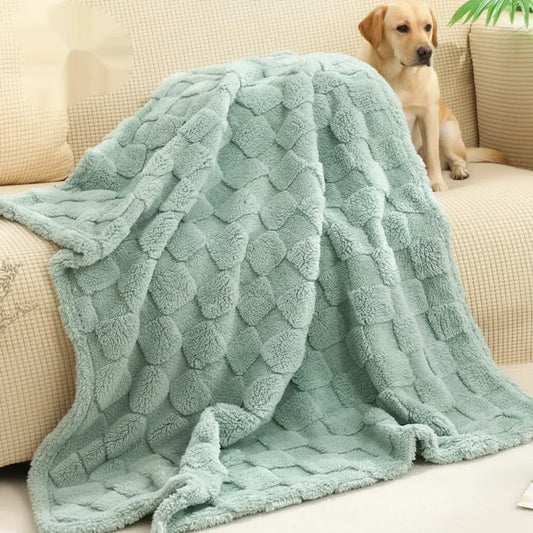 Pet Hair Blanket